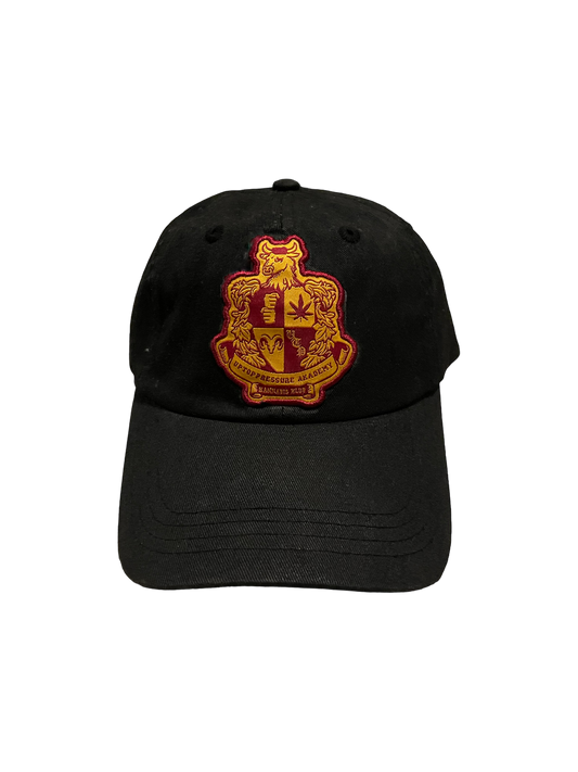 UTP Akademy Dad Hat 'Black'